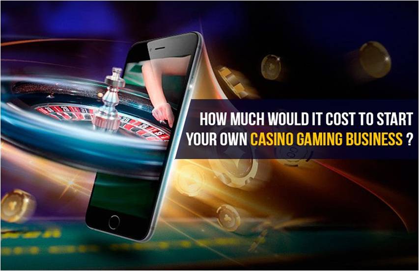 How Much Would It Cost to Start Your Own Casino Gaming Business