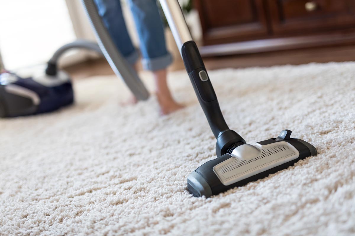 steamaid carpet cleaning services