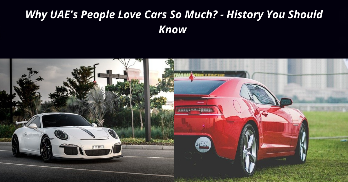 Why UAE's People Love Cars So Much - History You Should Know